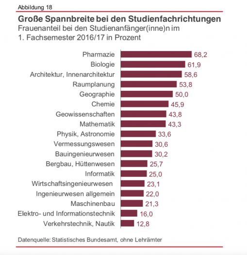 Statistik der Bundesagentur f&uuml;r Arbeit  (2017): Berichte - Blickpunkt Arbeitsmarkt: MINT-Berufe.